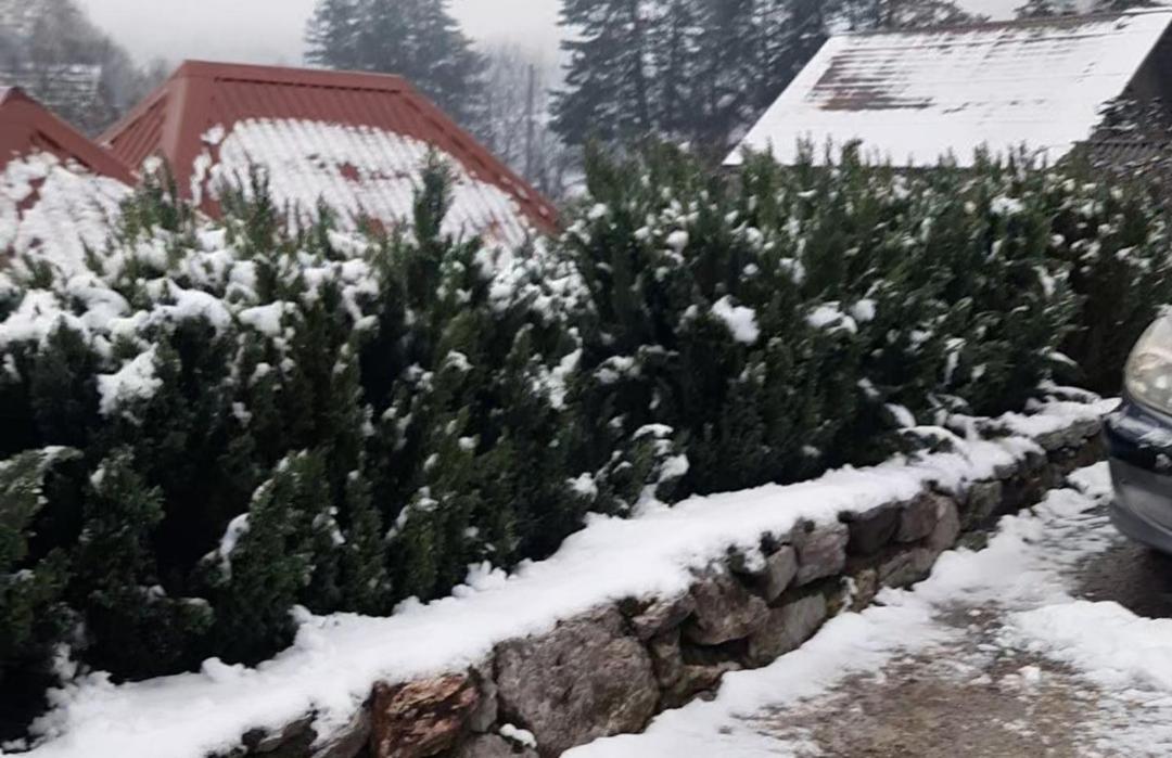 Apartman Bella Vita Kolašin Buitenkant foto