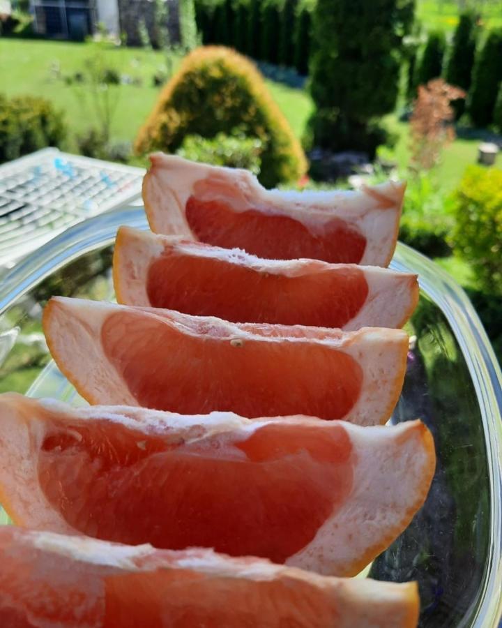 Apartman Bella Vita Kolašin Buitenkant foto