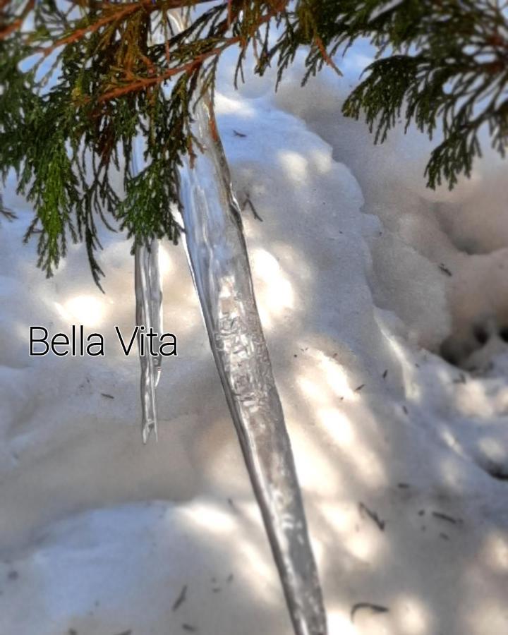 Apartman Bella Vita Kolašin Buitenkant foto